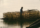 Fish cages