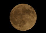 full moon 2.jpg