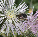 DSCN5842.JPG