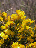 DSCN5844.JPG