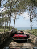 DSCN5865.JPG