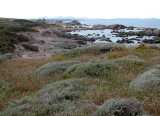 DSCN5888.JPG