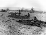 SC198296.jpg