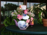 DSCF2051.JPG