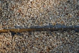 DSC_0048.JPG - sloppy expansion joint