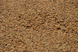 DSC_0052.JPG - very rough finish