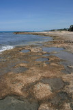 Rock pools just around the corner from Mar Blue