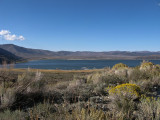 First view of Mono Lake