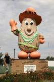 Pinto Bean - Bow Island, Alberta