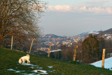 The Gates to St.Gallen