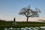 Man and Dog Greet Nodding Tree