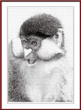 monkey pencil.jpg
