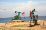 Oil pumps along the coast