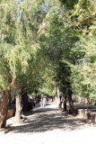 XIMG_3160.jpg