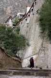 XIMG_1758.jpg