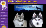 k9 ads online - Tutumaiao Kennels
