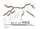 born to race sample
