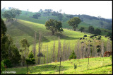 1283- green hills near Vaughan