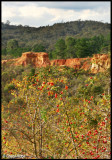 1323- view near Vaughan