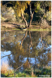 5048- kamarooka dam