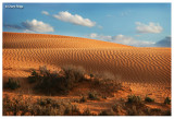 0574b-perry sand hills near Wentworth NSW