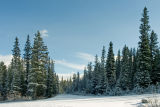 lake louise two.jpg