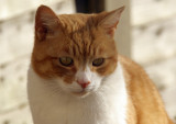 ph_3085.jpg