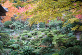 DSC05399.JPG