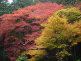 DSC06313.JPG