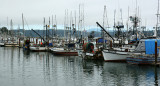 Newport Harbor, Oregon