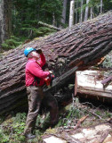 Goat Creek Trail 5-19-07 (1/2 mile past Tumwater fork)