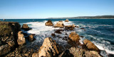 Point Lobos 048clescrp.jpg