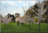 A day in the park - Herastrau Park