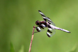 DSCN6371.JPG