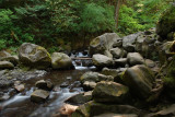 Multnomah Creek