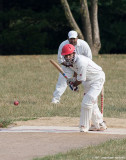 _MG_5818 cricket w.jpg