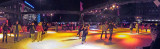 Ice skaters