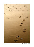 footsteps