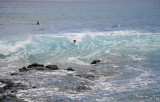 Dog in Surf