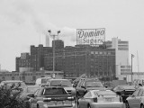 DSC01068.jpg