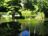 Japanese Tea Garden Reflections