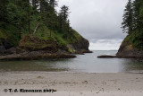 Dead Man's Cove - 2