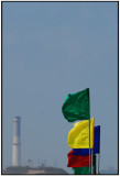 electric flags
