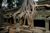 Ta Prohm