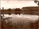 The Marsh in Sepia