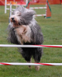 DSC_0064.JPG