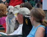 DSC_0124.JPG