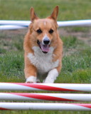 DSC_0188.JPG