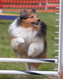 DSC_0190.JPG