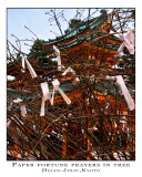 prayer papers in tree, Heian Jingu